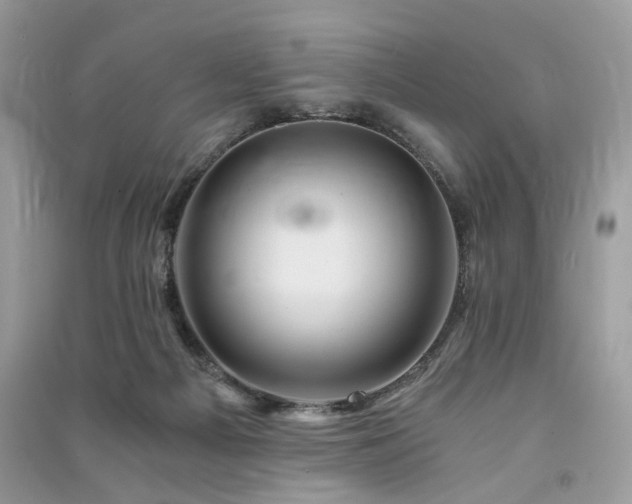 X0000091360121200708101427