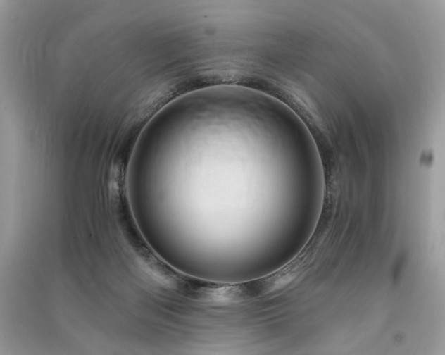 X0000091360122200708101427