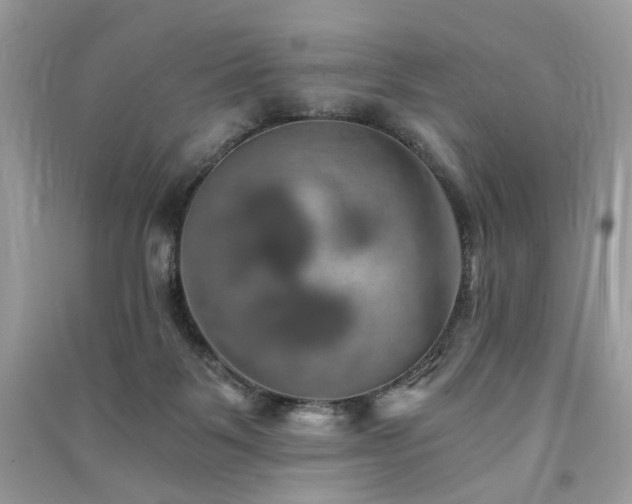 X0000091360123200708101427