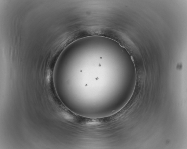 X0000091360125200708101427