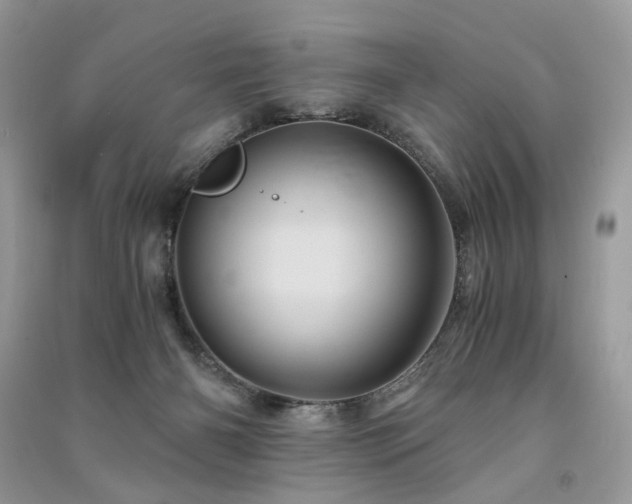X0000091360126200708101427