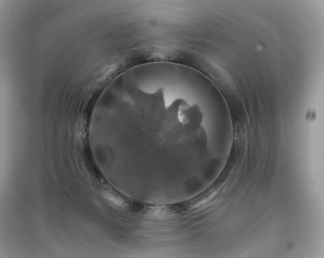 X0000091360127200708101427