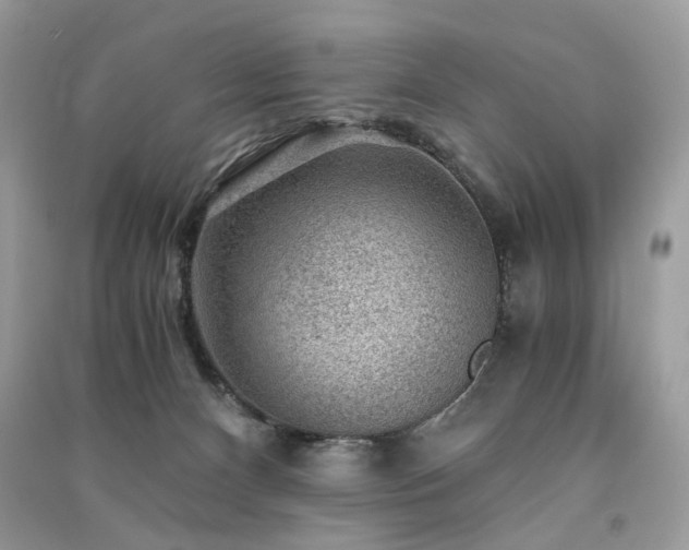 X0000091360128200708101427