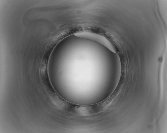 X0000091360129200708101427