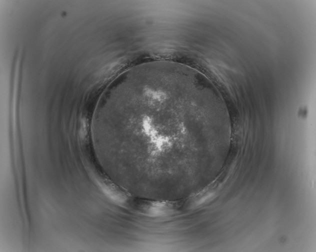 X0000091360130200708101427