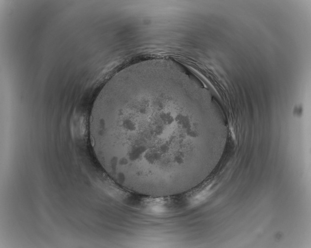 X0000091360131200708101427