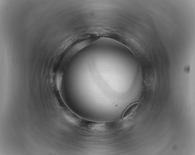 X0000091360132200708101427