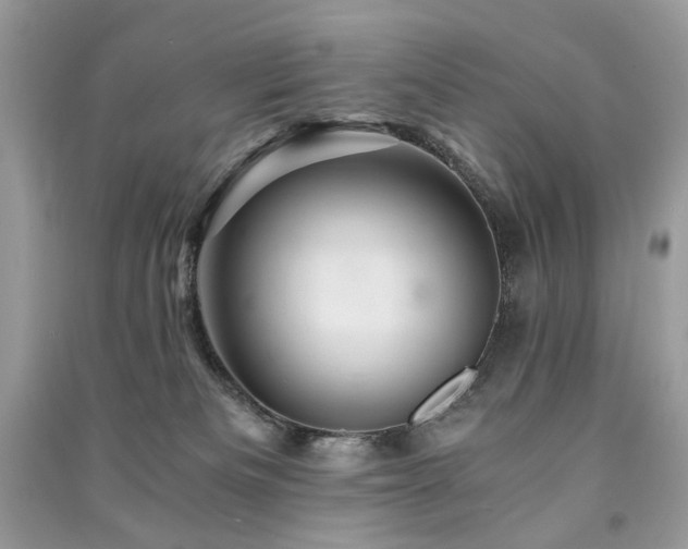 X0000091360133200708101427