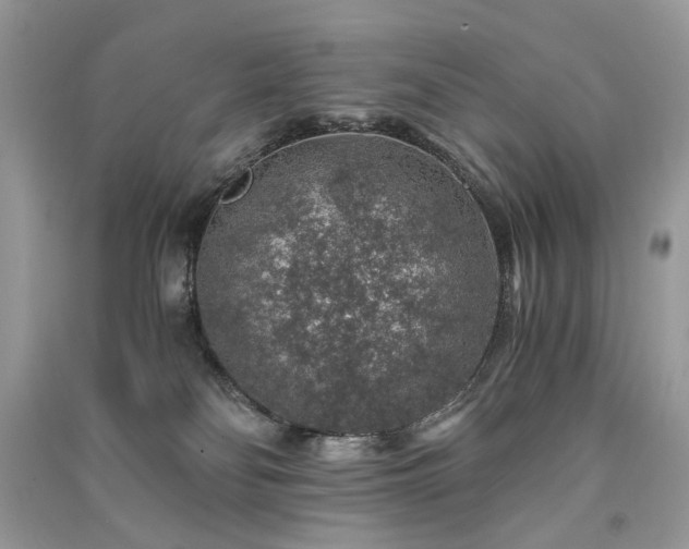 X0000091360134200708101427