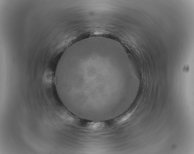 X0000091360135200708101427