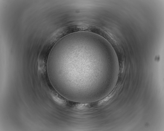 X0000091360136200708101427