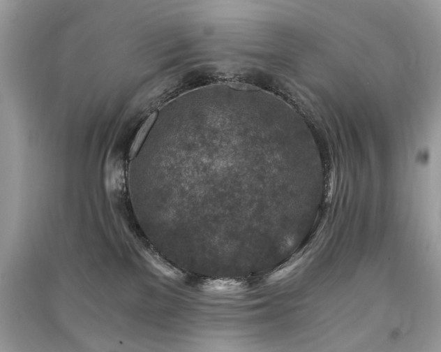 X0000091360137200708101427