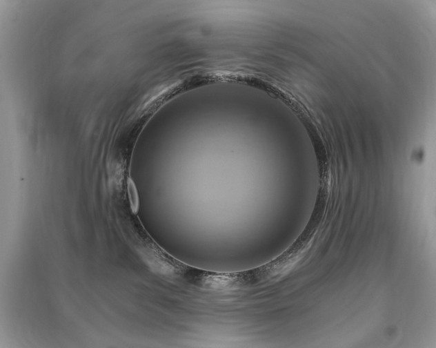 X0000091360139200708101427