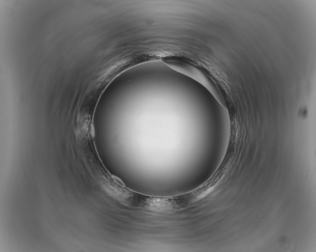 X0000091360141200708101427