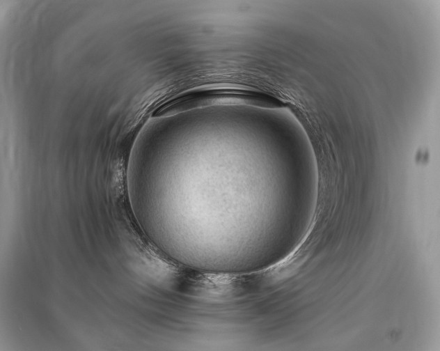 X0000091360144200708101427