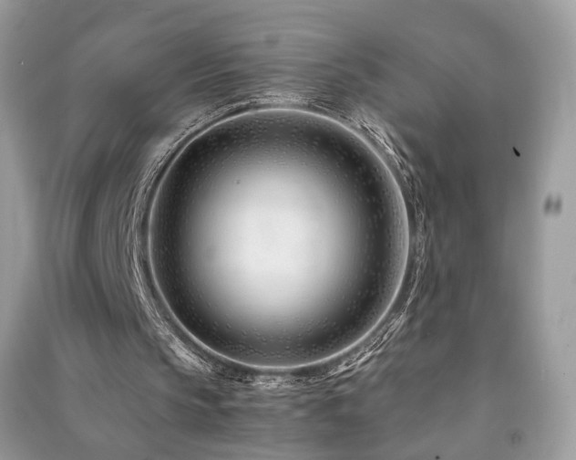 X0000091360145200708101426