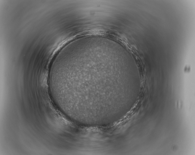 X0000091360146200708101426