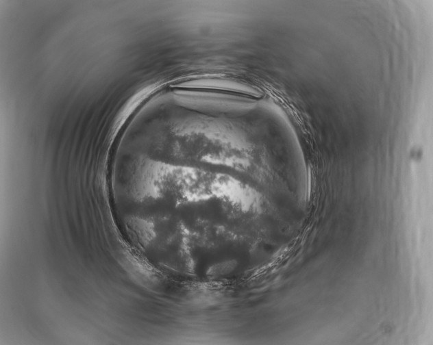 X0000091360147200708101426