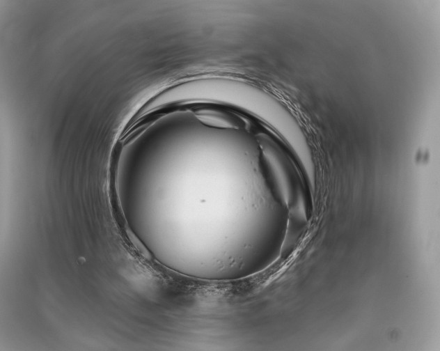 X0000091360148200708101426