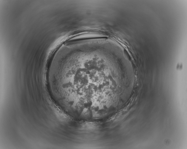 X0000091360149200708101426
