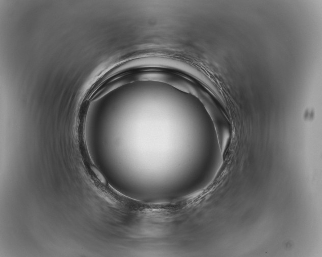 X0000091360150200708101426