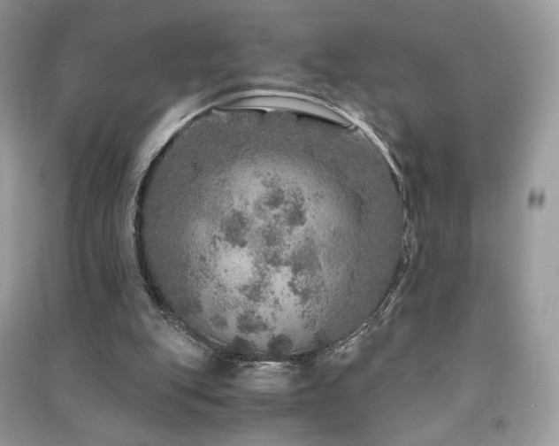X0000091360151200708101426