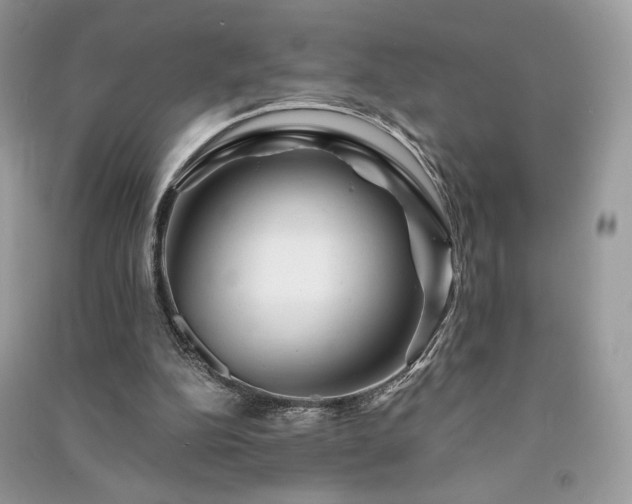 X0000091360152200708101426