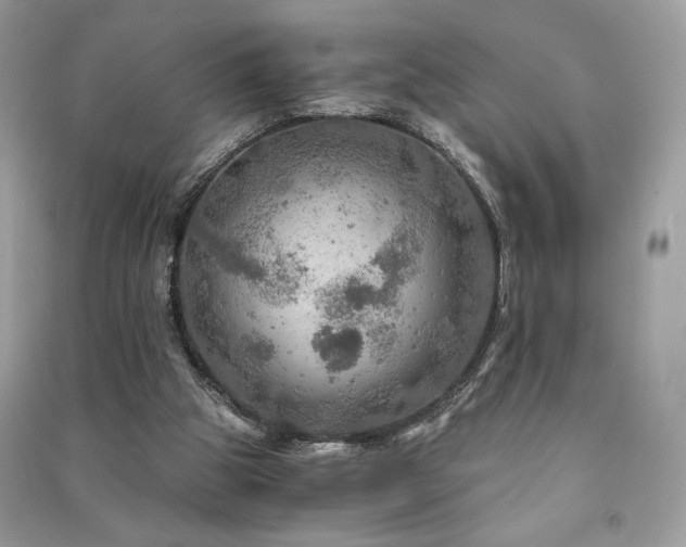 X0000091360153200708101426
