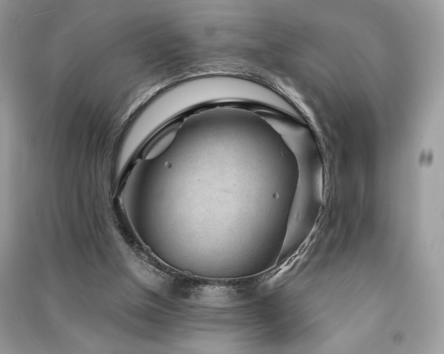 X0000091360154200708101426