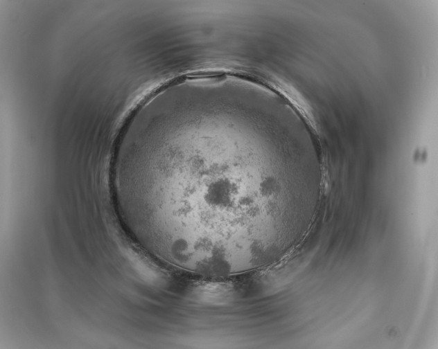 X0000091360155200708101426