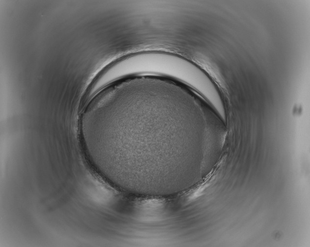 X0000091360156200708101426