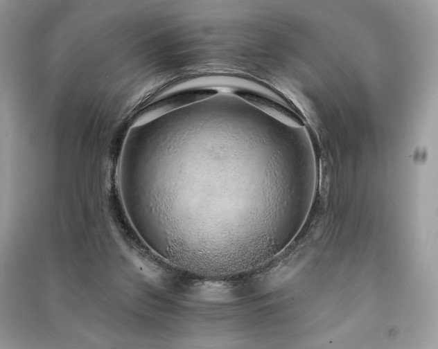 X0000091360157200708101426