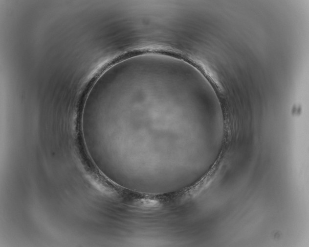 X0000091360159200708101426