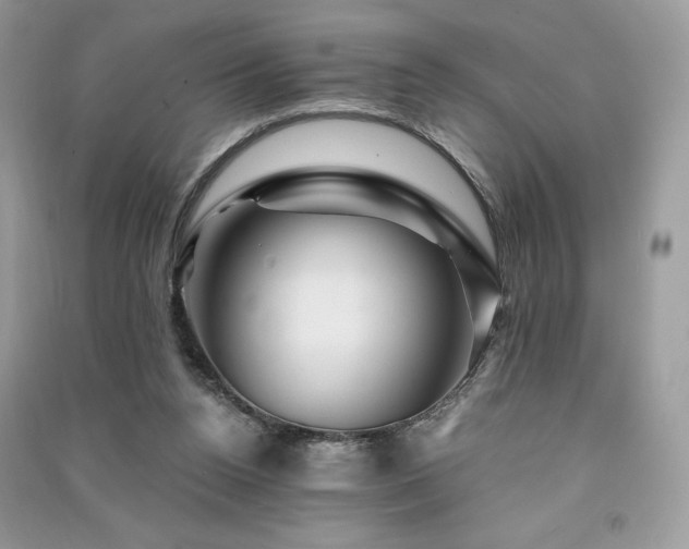 X0000091360160200708101426