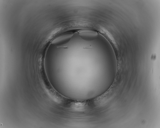 X0000091360163200708101426