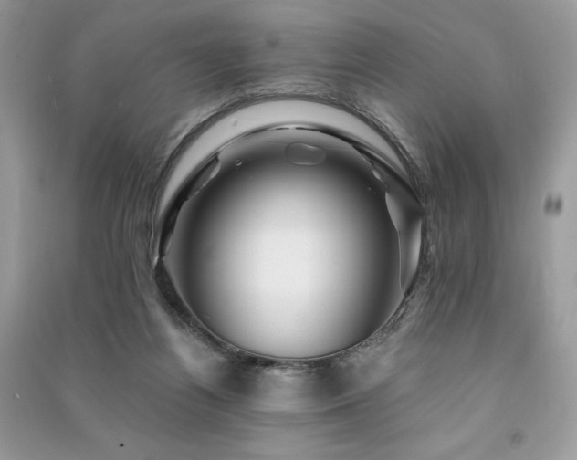 X0000091360164200708101426
