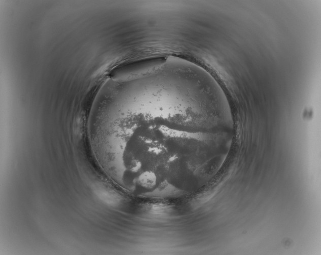 X0000091360165200708101426