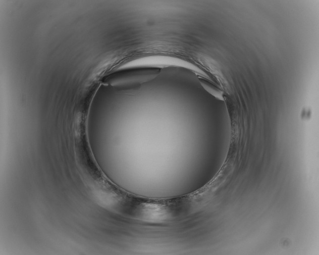 X0000091360167200708101426