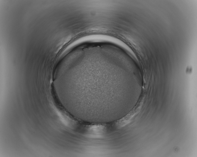 X0000091360168200708101426