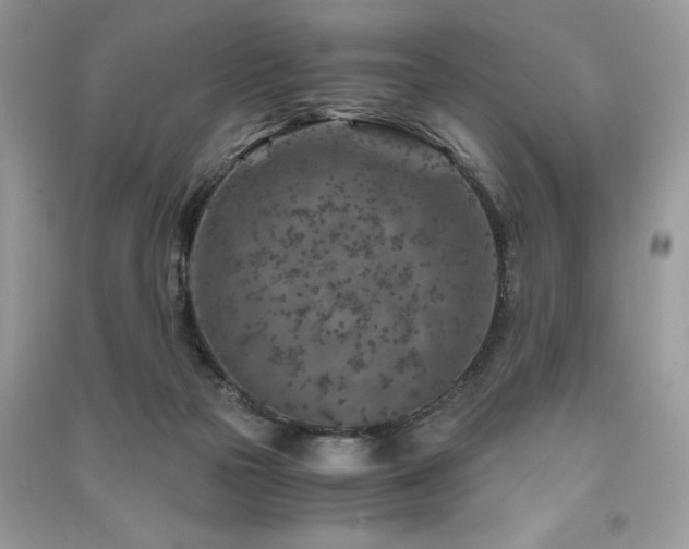 X0000091360169200708101426