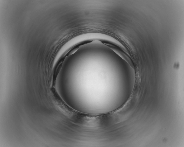 X0000091360170200708101426