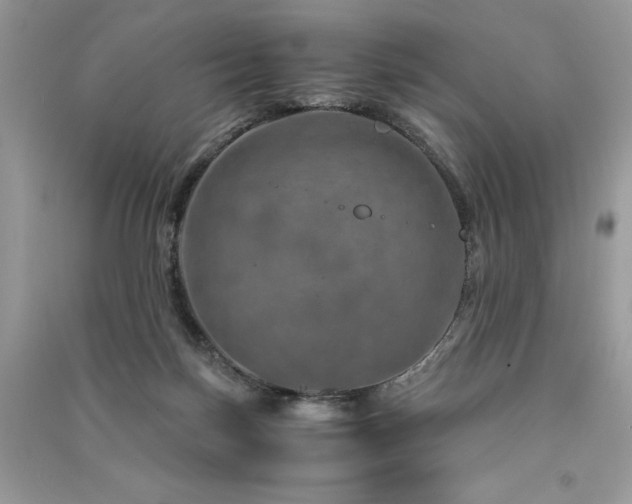 X0000091360171200708101426