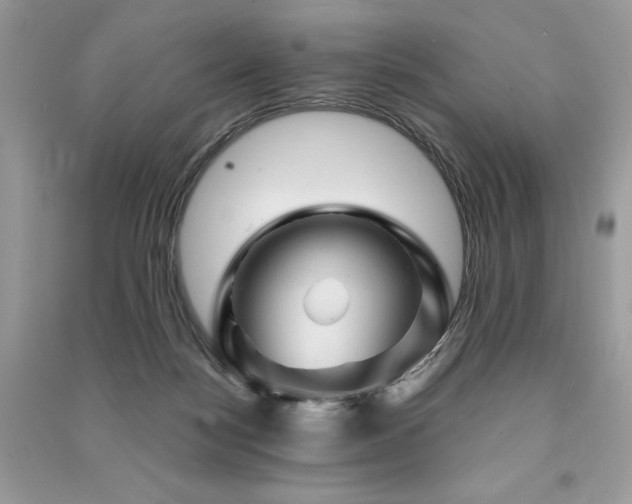 X0000091360172200708101426