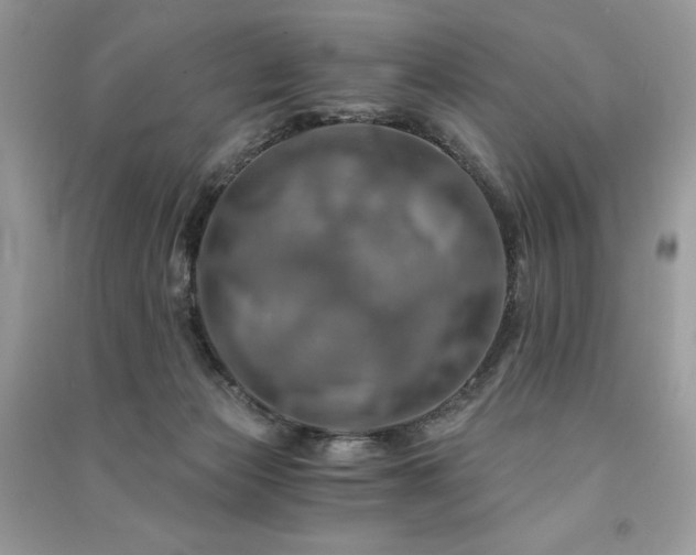X0000091360173200708101426