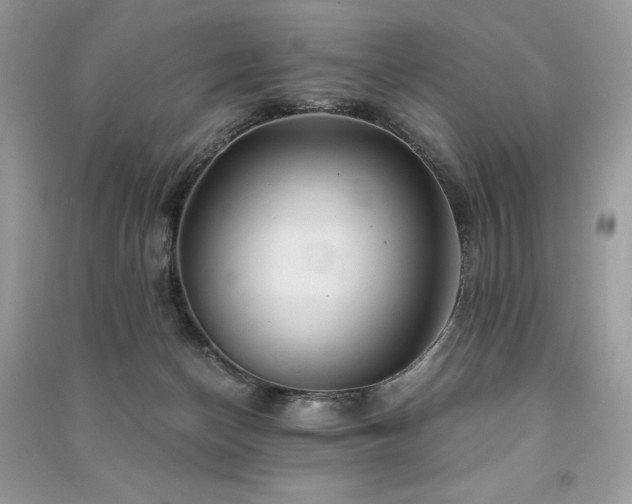 X0000091360174200708101426