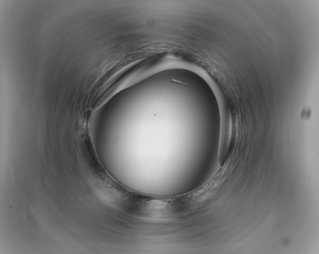 X0000091360176200708101427