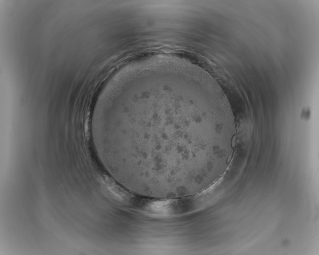 X0000091360178200708101427