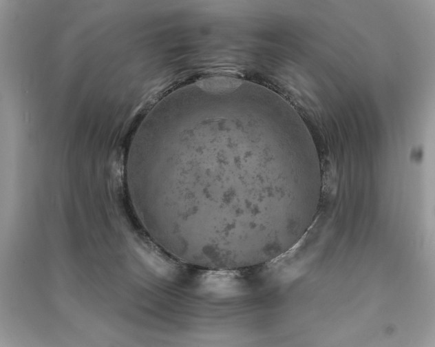 X0000091360179200708101427