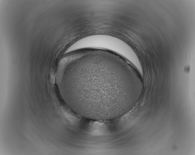 X0000091360180200708101427