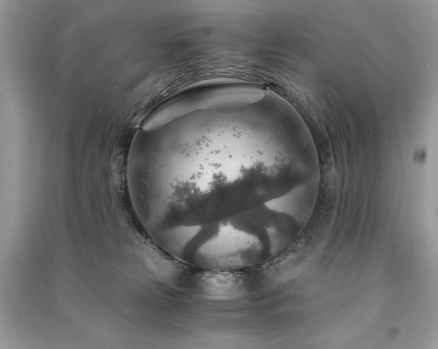X0000091360181200708101427